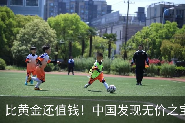 比黄金还值钱！中国发现无价之宝，1吨估值46亿，日本开始眼红？